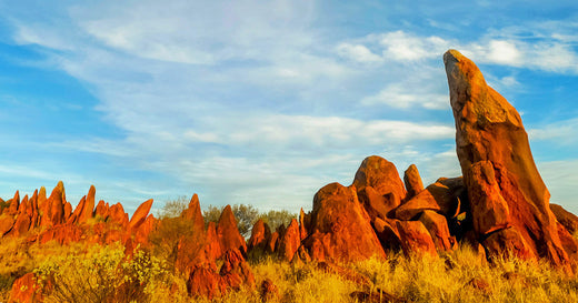 Juka Juka, a sacred Water Dreaming site on the Warlpiri Homelands
