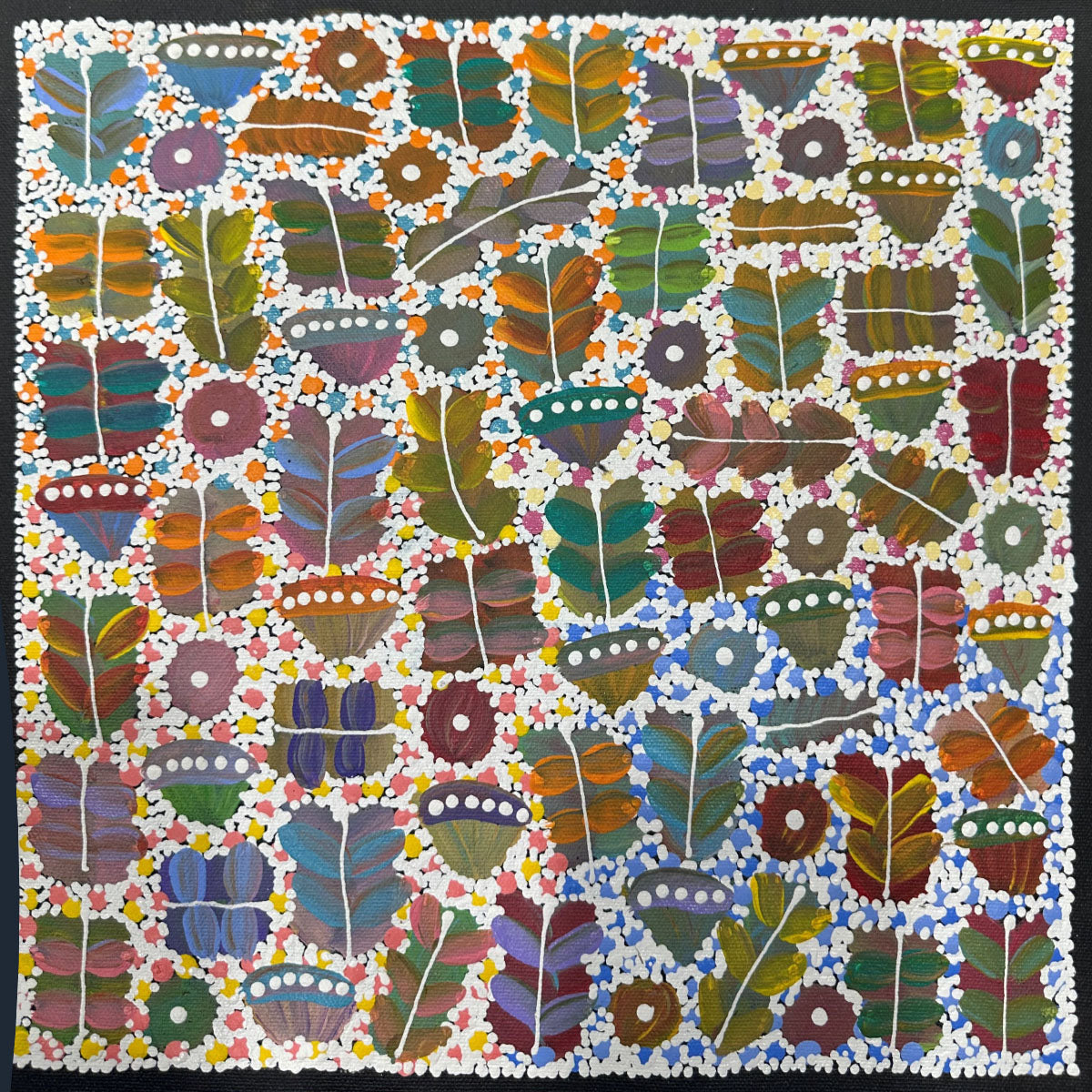 Bush Medicine No.1 | Aboriginal Artwork Painting