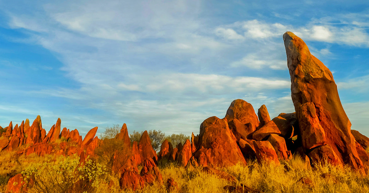 Warlpiri Aboriginal country central Australia Tanami desert