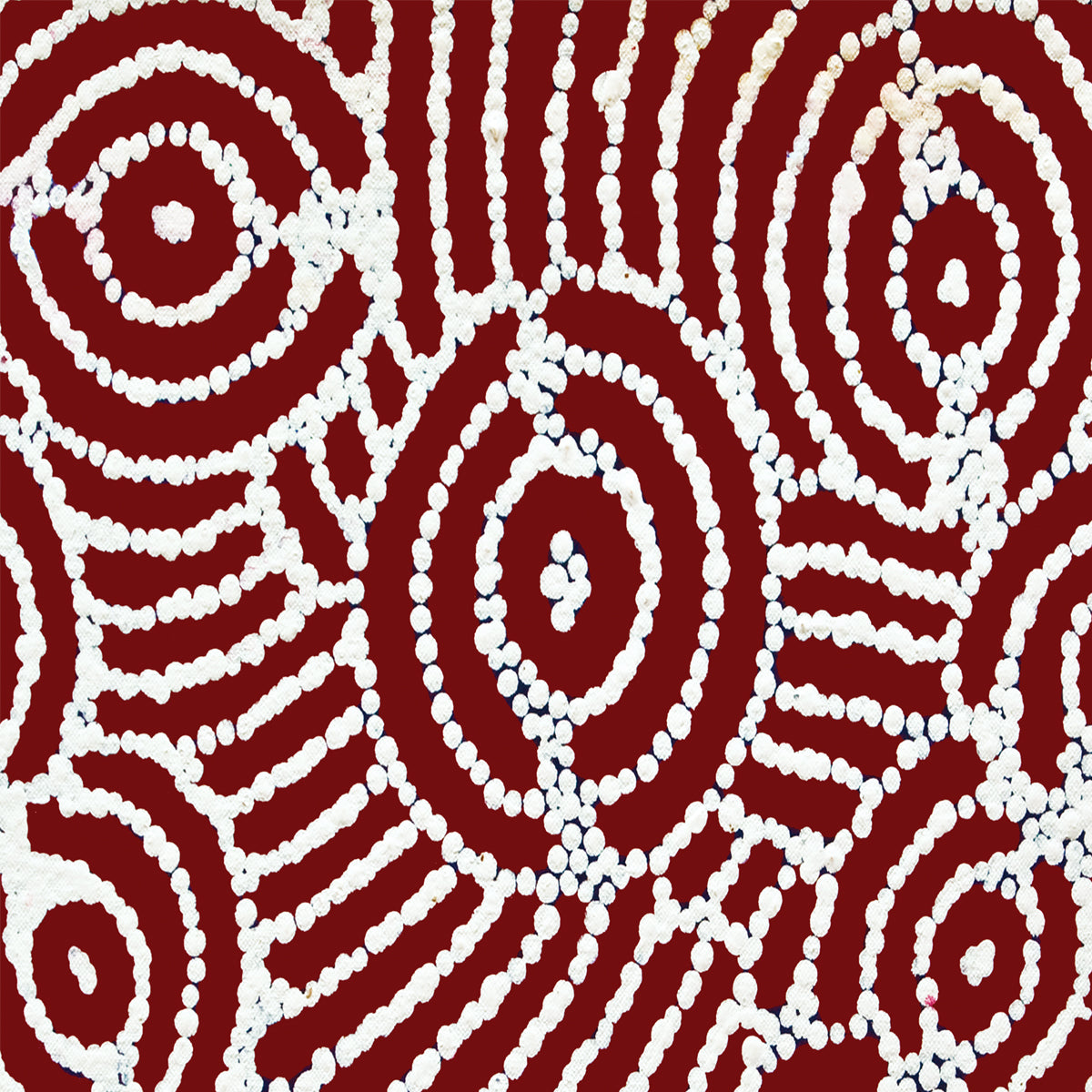 Sacred Ceremony | Modal Scarf