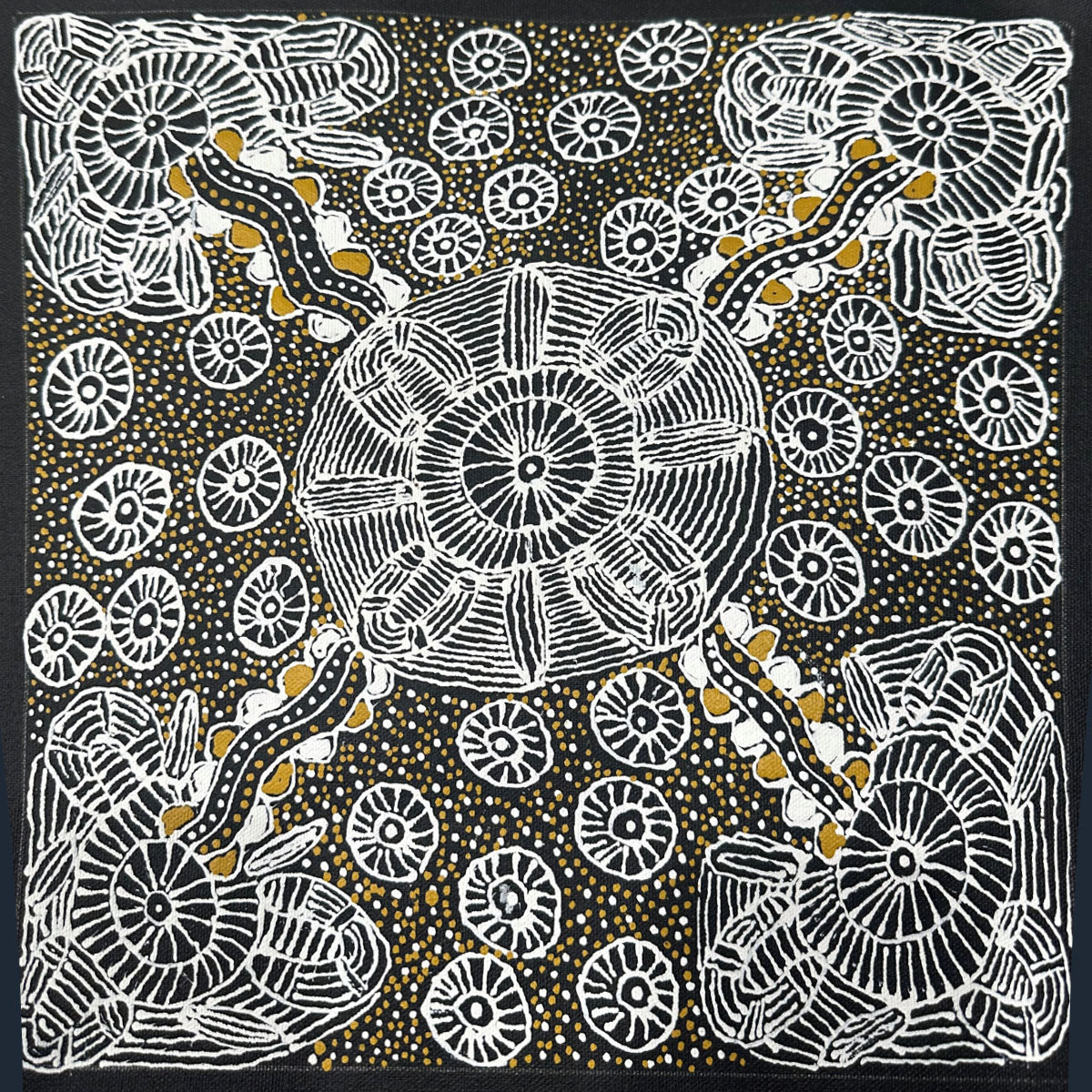 Ahakeye (Bush Plum) at Aremela Rockhole | Aboriginal Artwork Painting