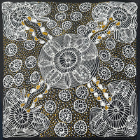 Ahakeye (Bush Plum) at Aremela Rockhole | Aboriginal Artwork Painting