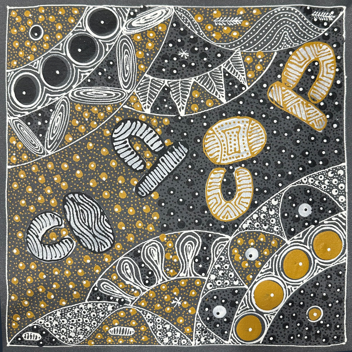 Ahakeye and Alpa | Aboriginal Artwork Painting