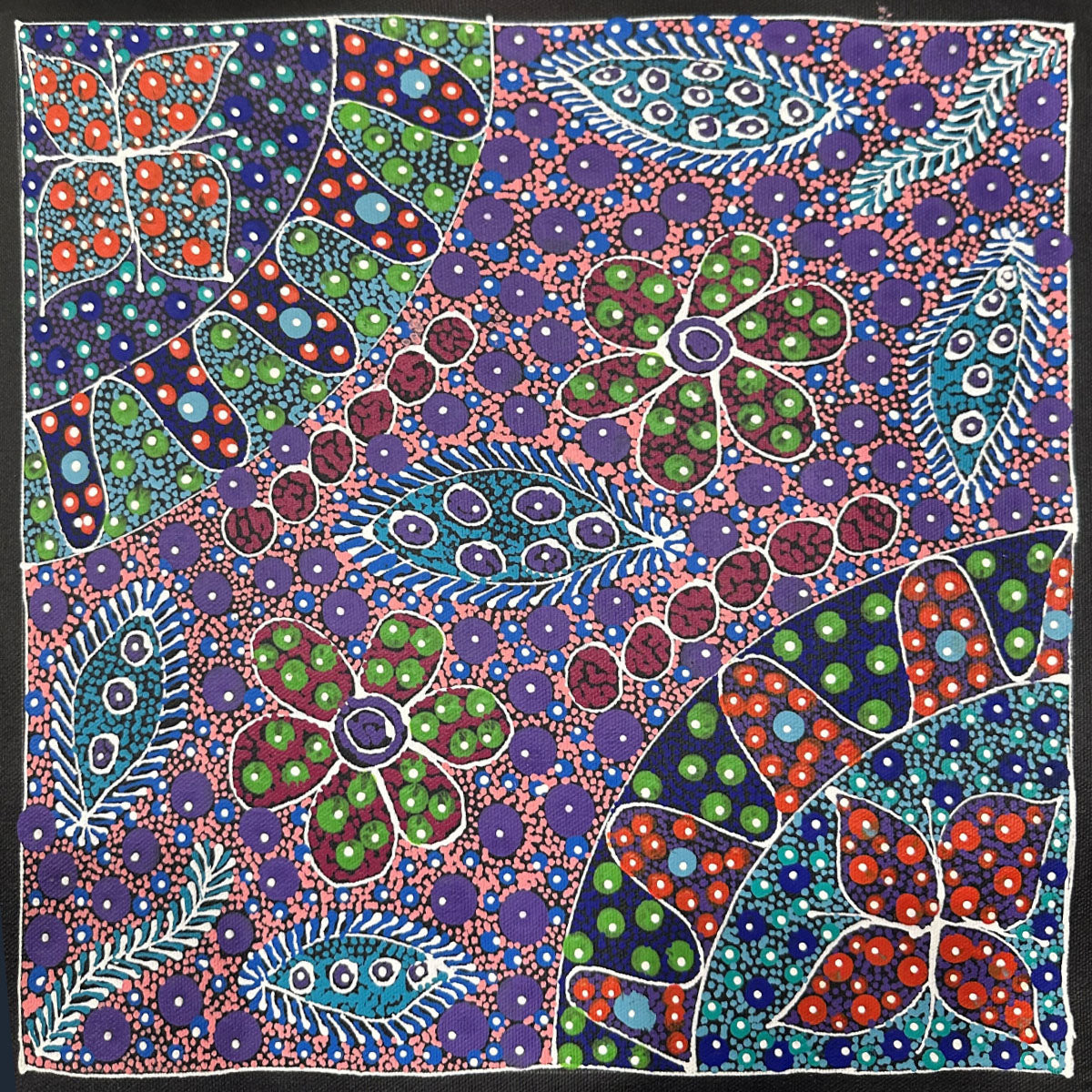 Atnyerlenge (Native Fuchsia) | Aboriginal Artwork Painting