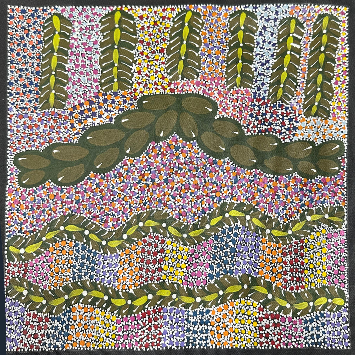 Bush Medicine No.2 | Aboriginal Artwork Painting
