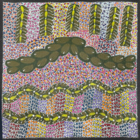 Bush Medicine No.2 | Aboriginal Artwork Painting