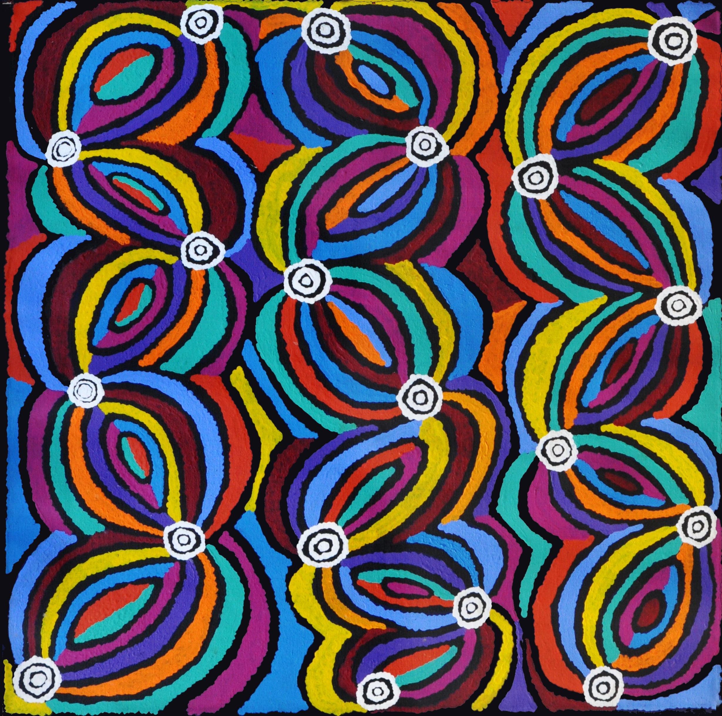 Sacred Vine Dreaming | Aboriginal Artwork Painting