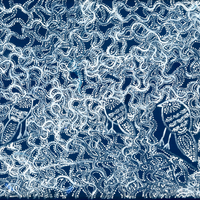 Night Ceremony Dreaming | Aboriginal Artwork Painting