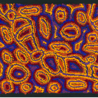 Lappi Lappi Jukurrpa | Aboriginal Artwork Painting